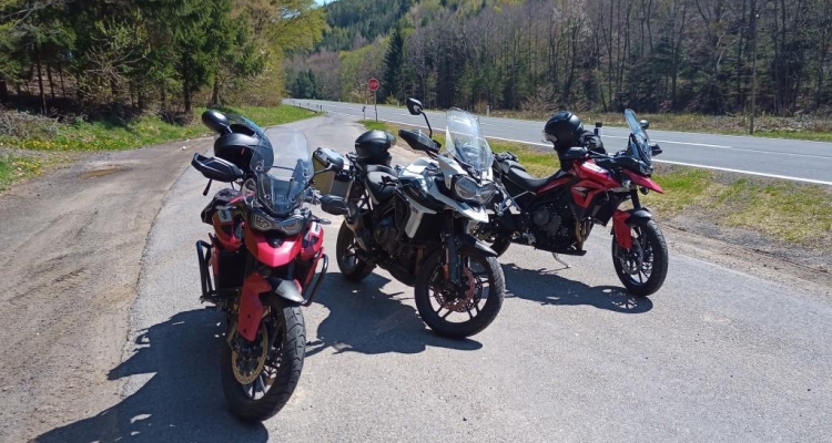 Rideout - Tiger Family On Tour