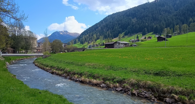 Swiss Jaunt.