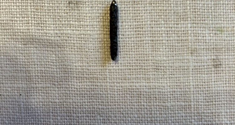 Dgr 2025 (for Want Of A Nail)