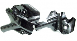 Triumph Carbon