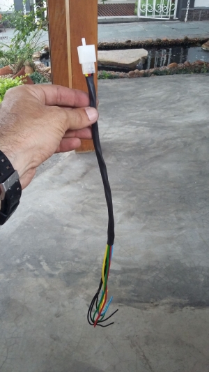 Wires together for taillight and turn signal.