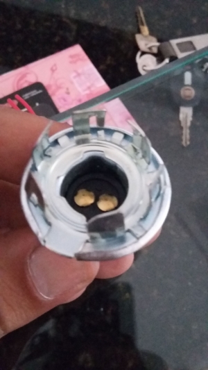 Led the taillight with support for the lamp.