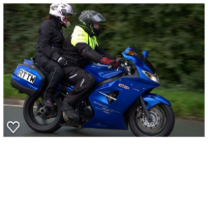 Trumpy out and about