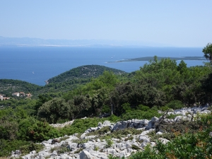 Bonnie rode to Istria 2019