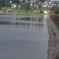 SONY DSC
