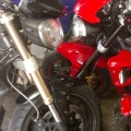 My speeds gave birth
To a street 675,R it,s in red and both mother and baby doing fine.