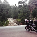 1991 FZR 600 Black Hills