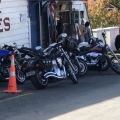 Puhoi 16/5/21